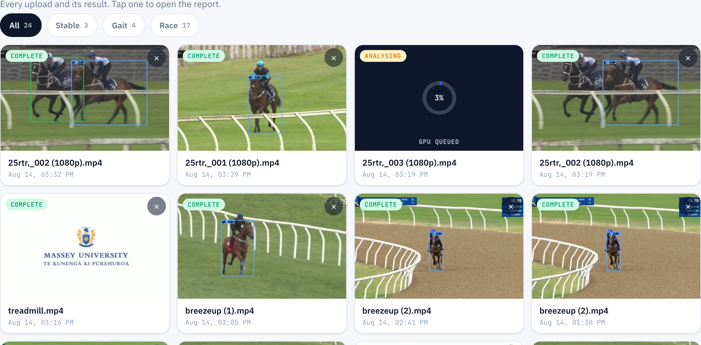 Strides stable, training and race analysis cards